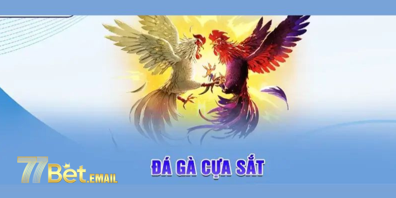 Đá gà cựa sắt 77bet